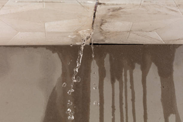 Professional Burst Pipe Cleanup technician working in Oronoco, MN